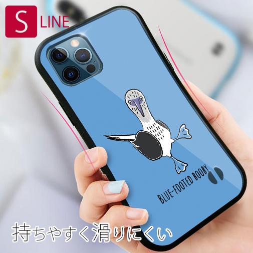 【S-LINE】とぼけた顔のアオアシカツオドリ(wakat)