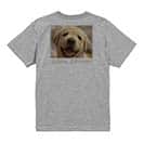 【Tシャツ】ゴールデンレトリバーの子犬 5.6oz Cotton:100%
