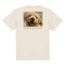 【Tシャツ】ゴールデンレトリバーの子犬 5.6oz Cotton:100%