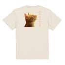 【Tシャツ】天を仰ぐ猫 5.6oz Cotton:100%