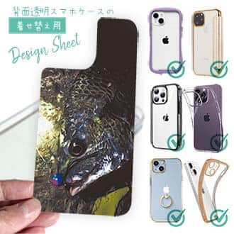 【デザインシート】銀鱗クロダイ