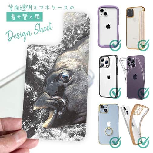 【デザインシート】イシダイの強靭な歯