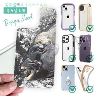 【デザインシート】イシダイの強靭な歯