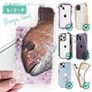 【デザインシート】桜ダイ