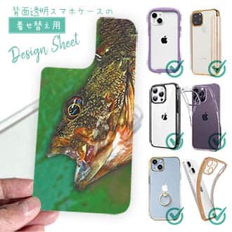 【デザインシート】カサゴ