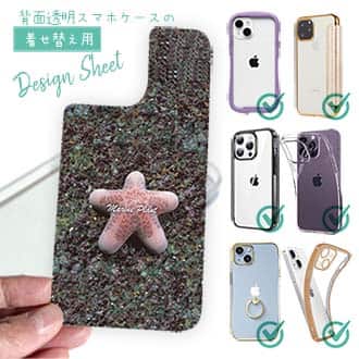 【デザインシート】サンゴ　#17