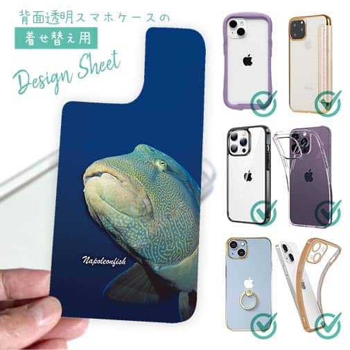 【デザインシート】水中　ナポレオンフィッシュ