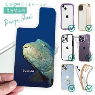 【デザインシート】水中　ナポレオンフィッシュ