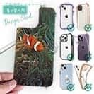 【デザインシート】熱帯魚　No.4　カクレクマノミ