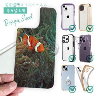 【デザインシート】熱帯魚　No.4　カクレクマノミ