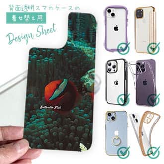 【デザインシート】熱帯魚　No.5　ハマクマノミ