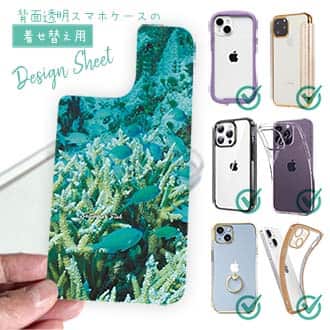 【デザインシート】熱帯魚　No.6　デバスズメ