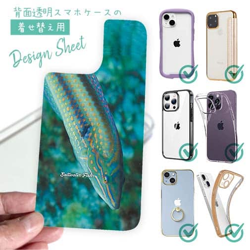 【デザインシート】熱帯魚 No.8 キュウセンベラ