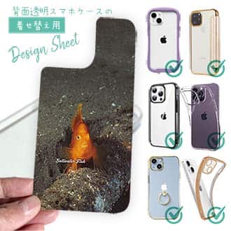 【デザインシート】熱帯魚　No.10　ウイゴンベ