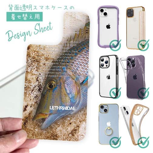 【デザインシート】タマン(ハマフエフキ)