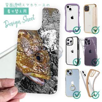 【デザインシート】マーブルドロックフィッシュ　カサゴ