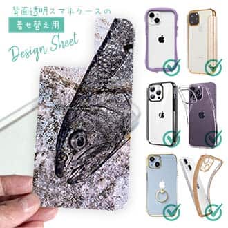 【デザインシート】イワナ　鉄錆