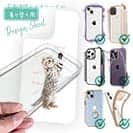 【デザインシート】猫の鳴き声