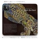 【手帳型ベルトなし】【Stick Case】エギングにアオリイカ