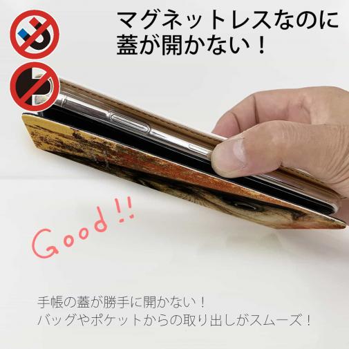 【手帳型ベルトなし】【Stick Case】ヘラブナの目