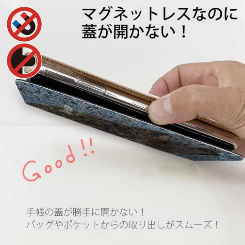 【手帳型ベルトなし】【Stick Case】砂の王者・ヒラメ
