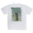 【Tシャツ】チンアナゴ