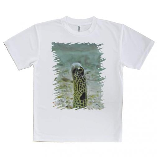 【Tシャツ】チンアナゴ