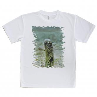 【Tシャツ】チンアナゴ