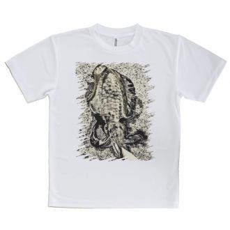 【Tシャツ】エギングでアオリイカ