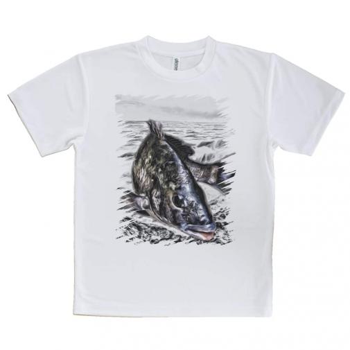 【Tシャツ】精悍なクロダイ(チヌ)
