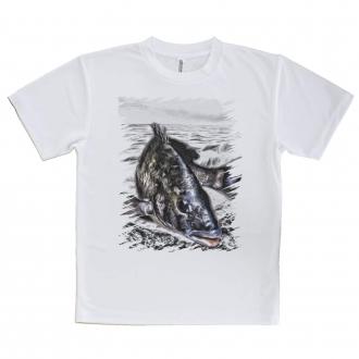 【Tシャツ】精悍なクロダイ(チヌ)