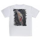 【Tシャツ】ニジマス降海型