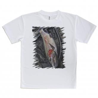 【Tシャツ】ニジマス降海型