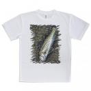 【Tシャツ】ルアーにヒットしたスズキ