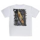 【Tシャツ】ニジマス婚姻色