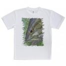 【Tシャツ】スモールマウスバス