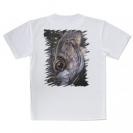 【Tシャツ】メバル