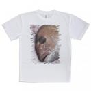 【Tシャツ】桜ダイ