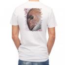 【Tシャツ】桜ダイ