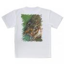 【Tシャツ】カサゴ