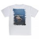 【Tシャツ】エルクヘアカディス