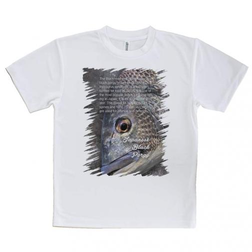 【Tシャツ】クロダイ(チヌ)の目