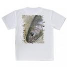 【Tシャツ】イワナ アップ