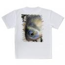 【Tシャツ】ヘラブナ