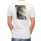 【Tシャツ】ヘラブナ