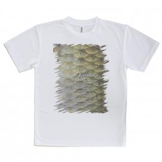 【Tシャツ】ヘラブナの鱗