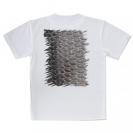 【Tシャツ】クロダイ鱗
