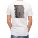 【Tシャツ】クロダイ鱗