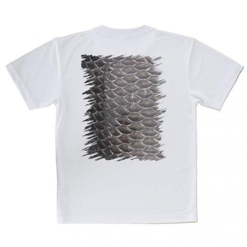 【Tシャツ】クロダイ鱗