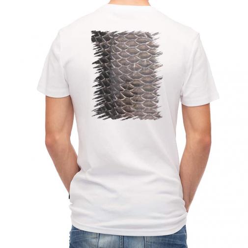 【Tシャツ】クロダイ鱗